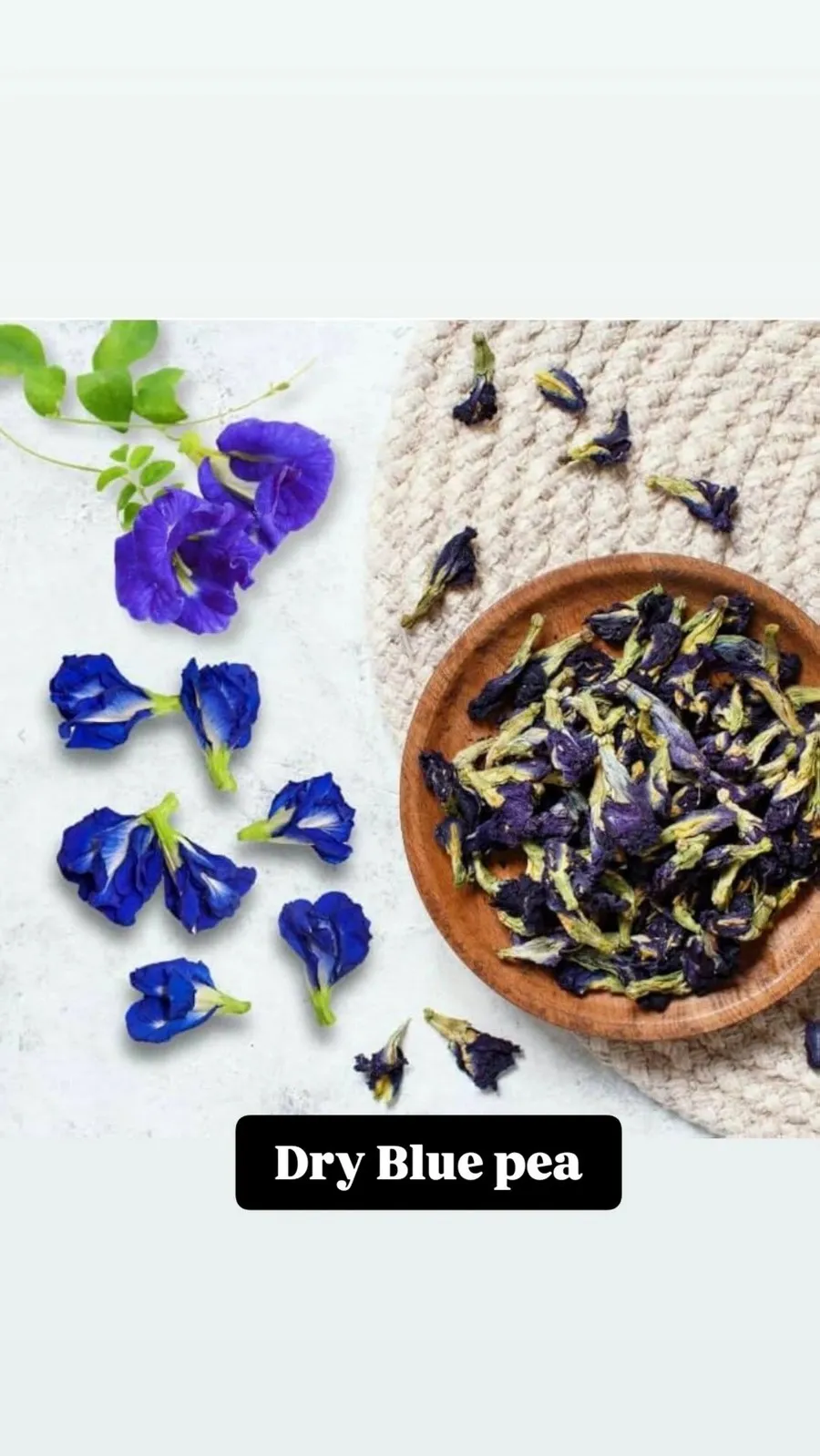 HSDL Blue Pea pack