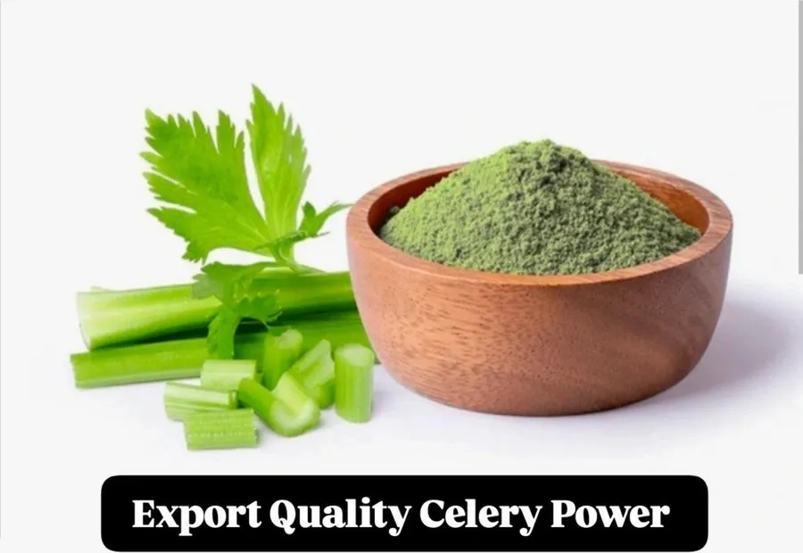 HSDL Celery pack