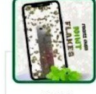HSDL Mint pack
