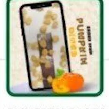 HSDL Pumpkin Dices pack