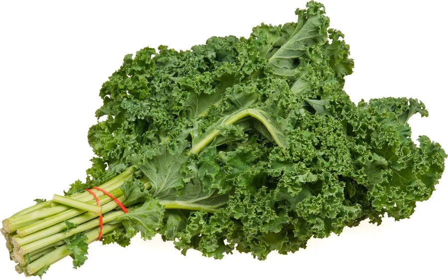 HSDL Kale