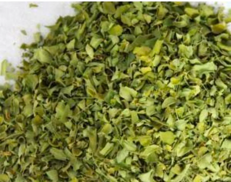 HSDL Moringa powder