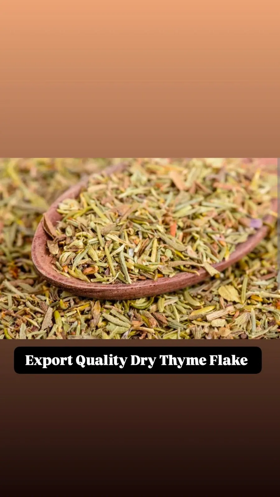 HSDL Thyme pack