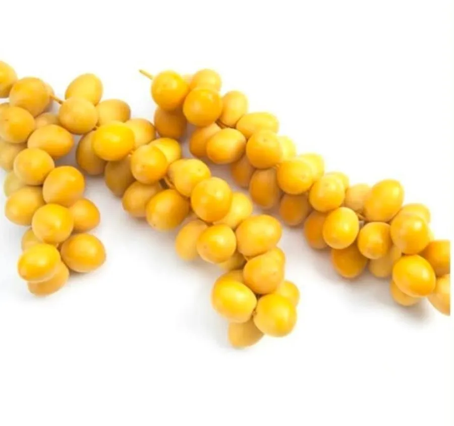 JJMP Agro Marketing Fresh Barhi Dates pack