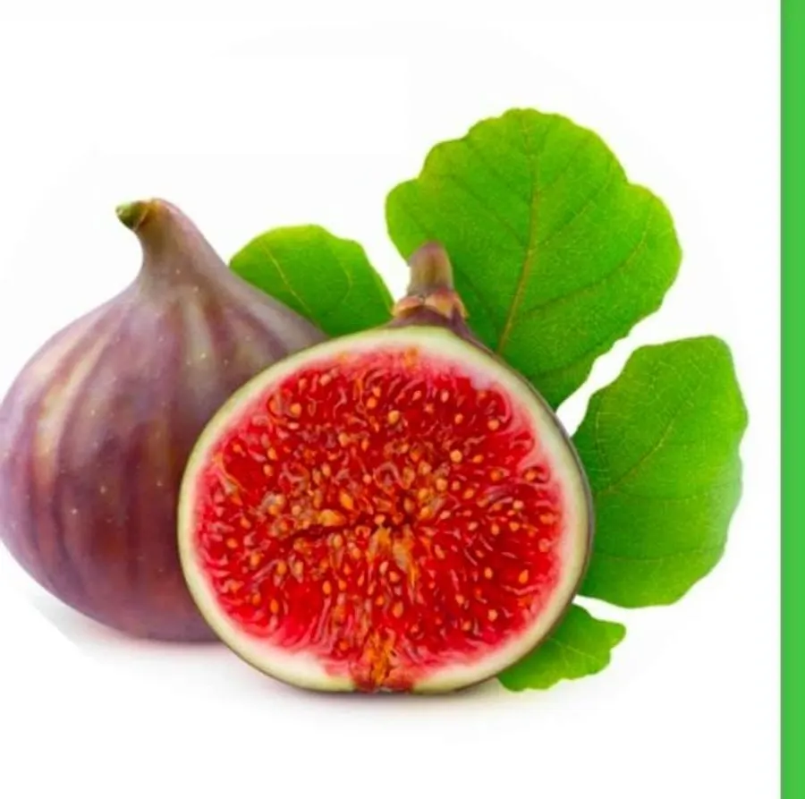 JJMP Agro Marketing Fresh Fig pack