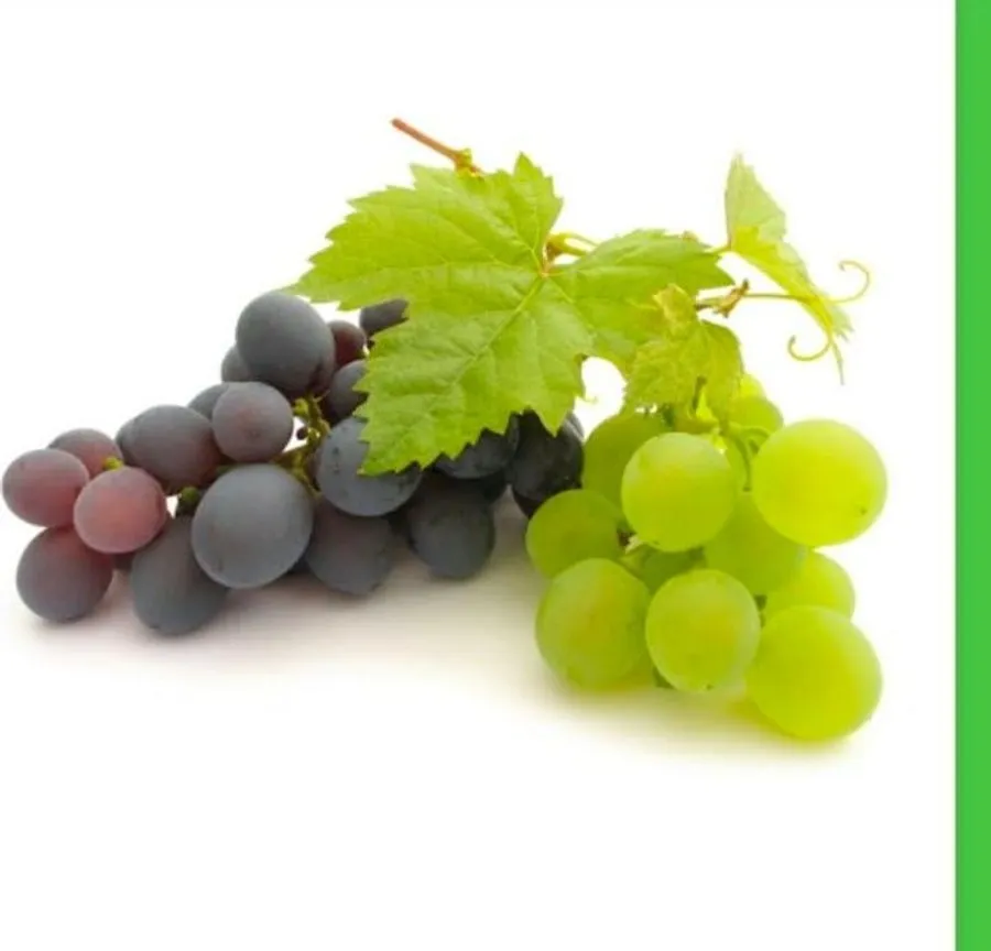 JJMP Agro Marketing Grapes pack