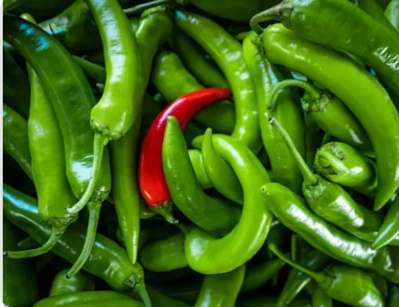 JJMP Agro Marketing G-4 Green Chilli pack