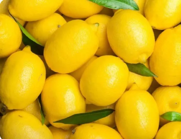 JJMP Agro Marketing Lemon pack