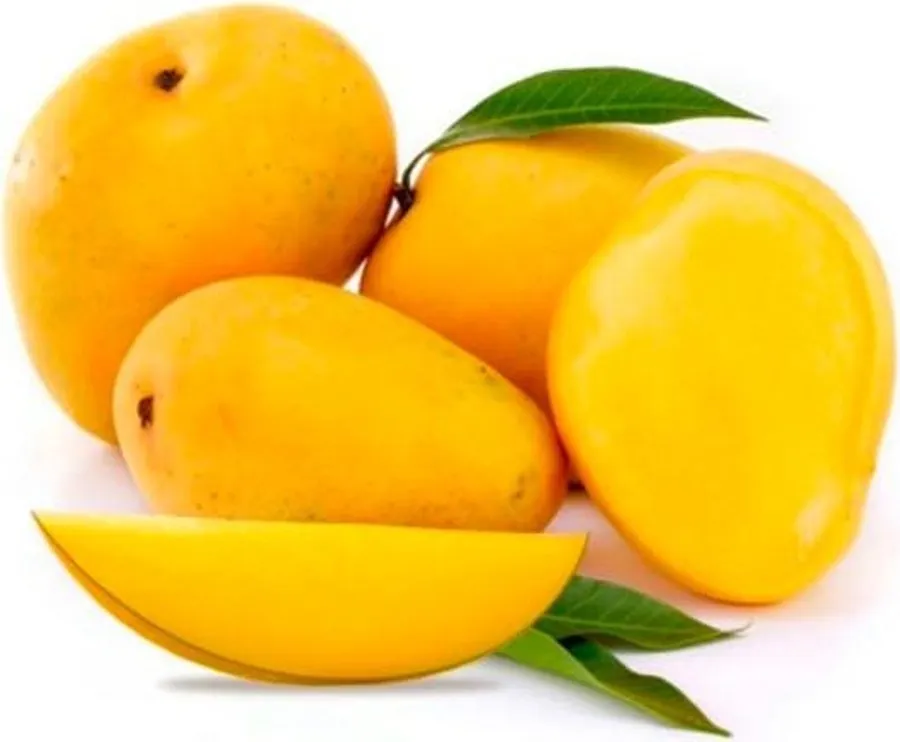 JJMP Agro Marketing Mango pack