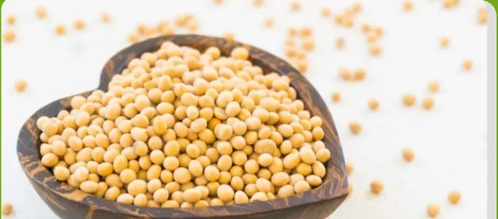 JJMP Agro Marketing Soyabean pack