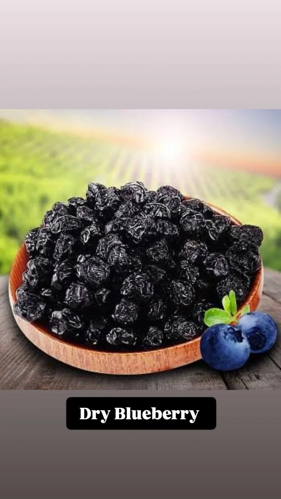Kaarvii Foods Blueberry pack